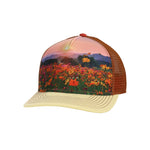 Matty Trucker Hat Truckers Pistil Designs Rust