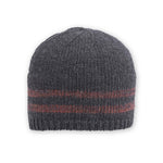 Elroy Beanie Beanies Pistil Designs Graphite