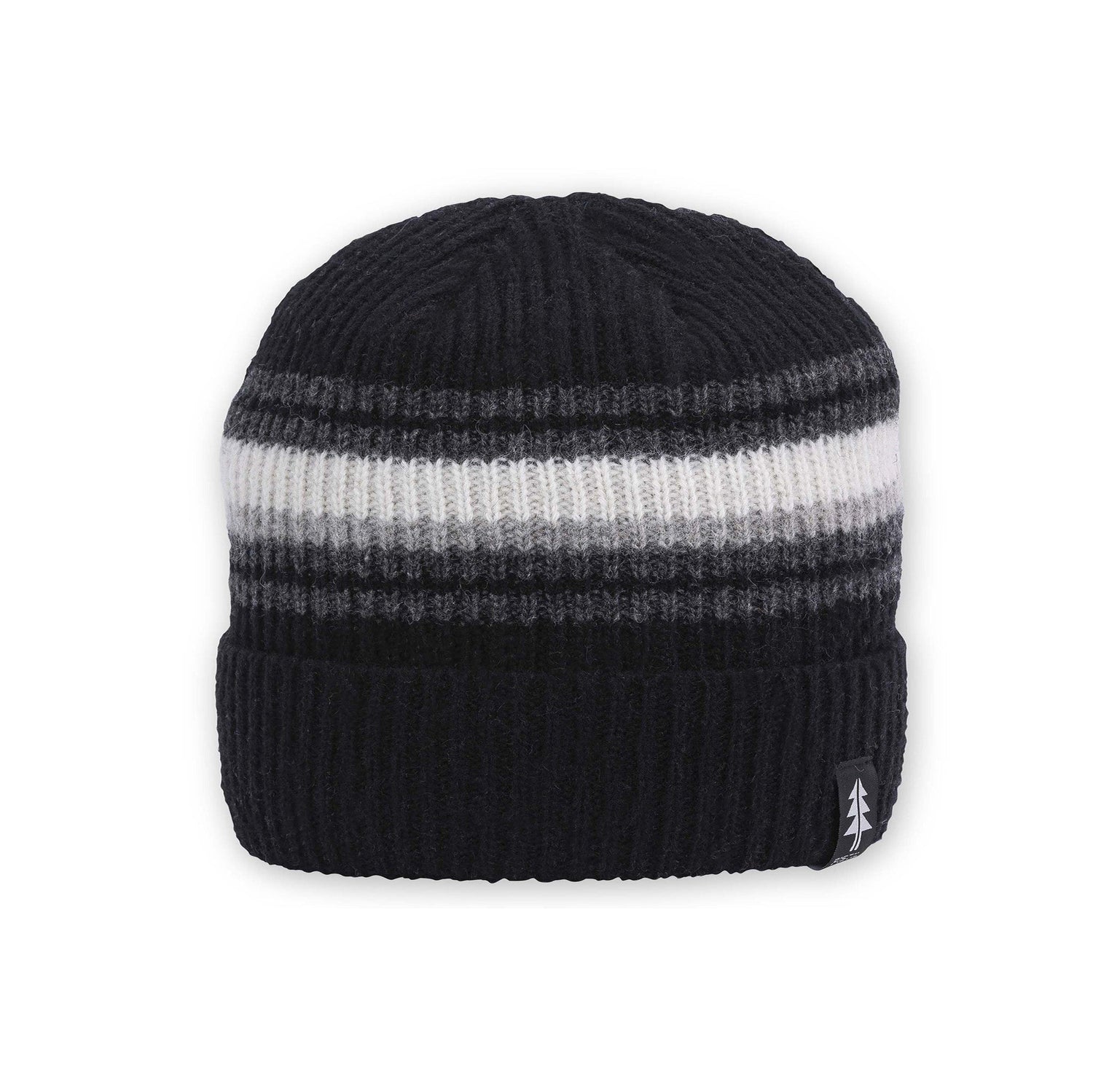 Forester Beanie Beanies Pistil Designs Black