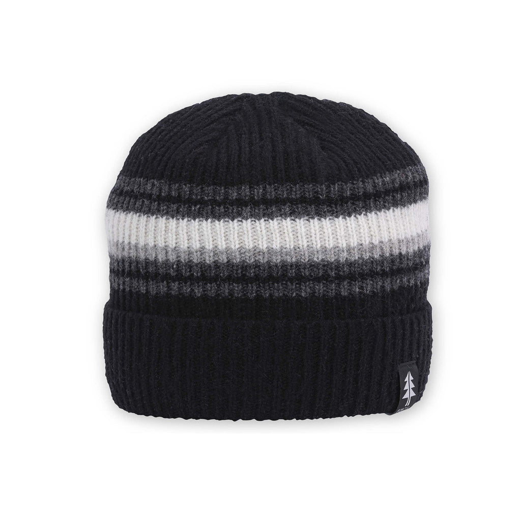 Forester Beanie Beanies Pistil Designs Black  