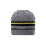 Clay Beanie Beanies Pistil Designs Grey