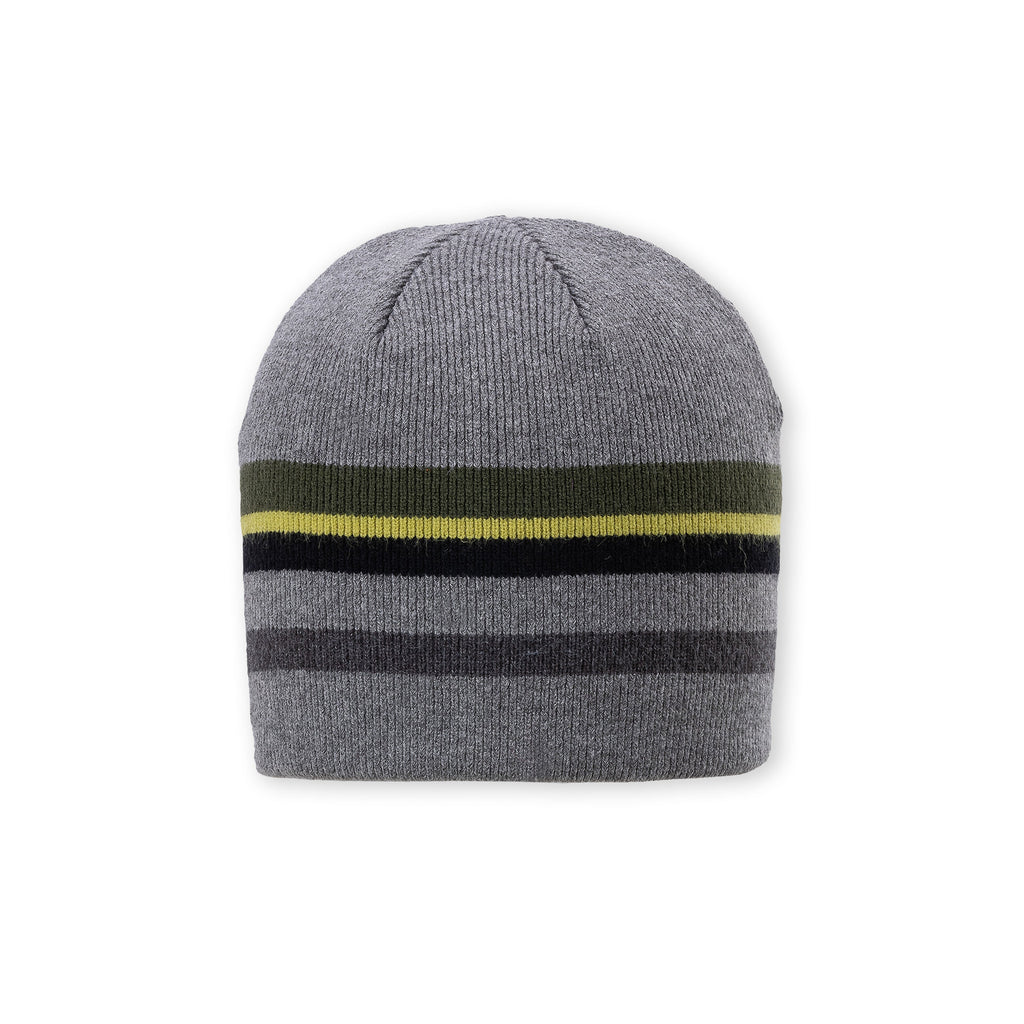 Clay Beanie Beanies Pistil Designs Grey  