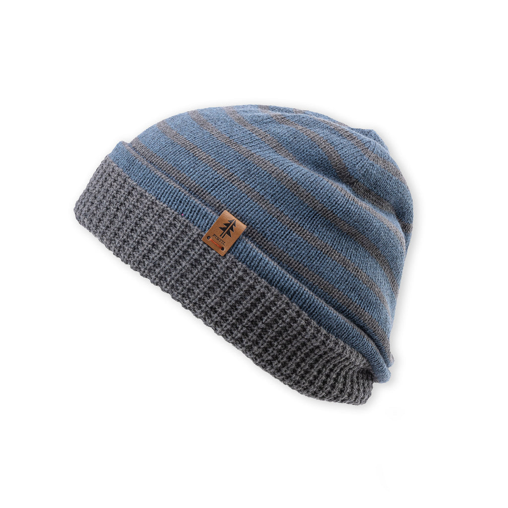 Leslie Slouchy Beanie Beanies Pistil Designs Blue  