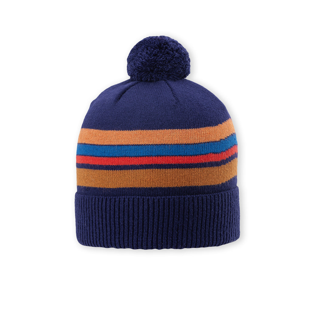 Roxy Beanie Beanies Pistil Designs Navy  