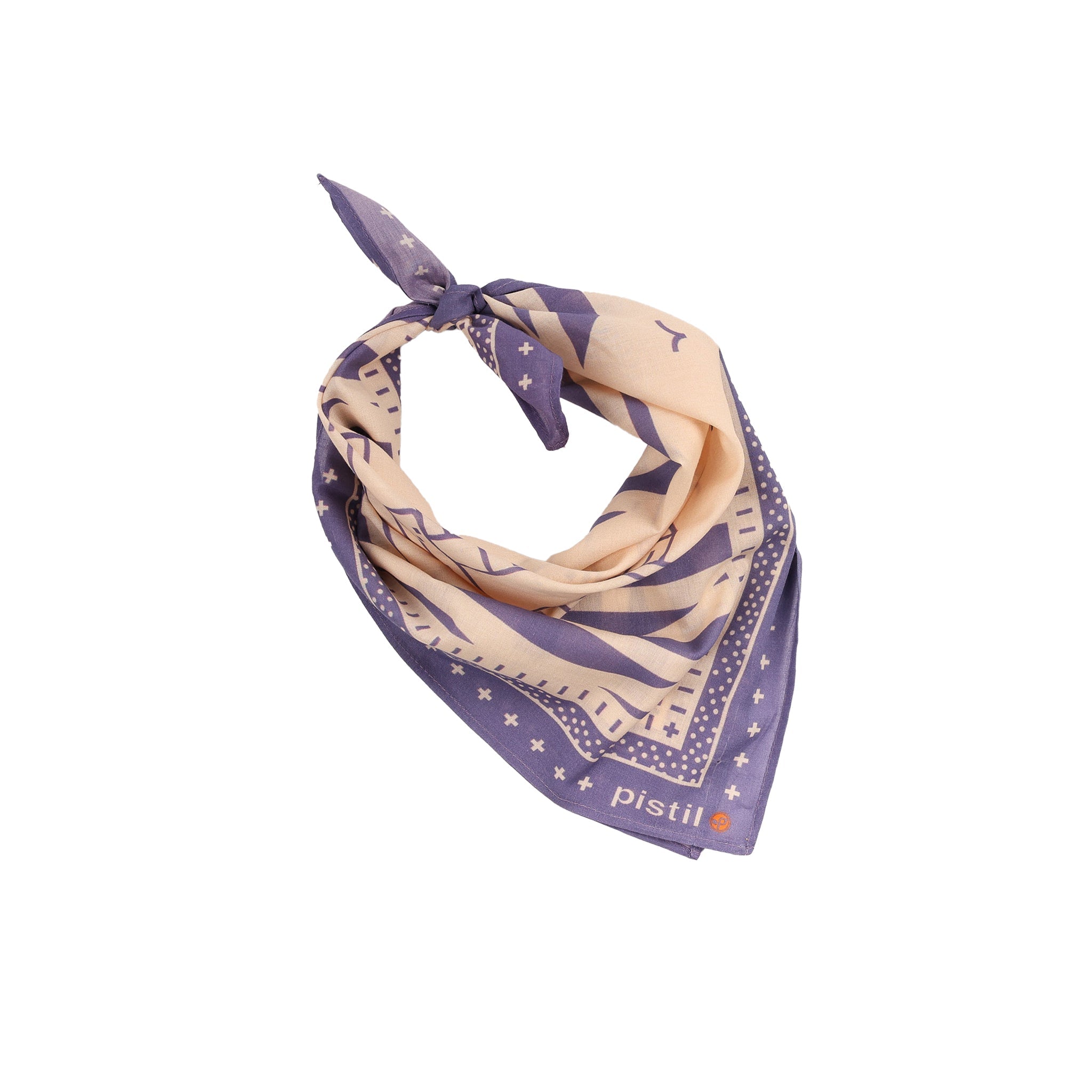 NEIGHBORHOOD BANDANA マフラー The NeighborHood Collection Bandana | Pistil Designs
