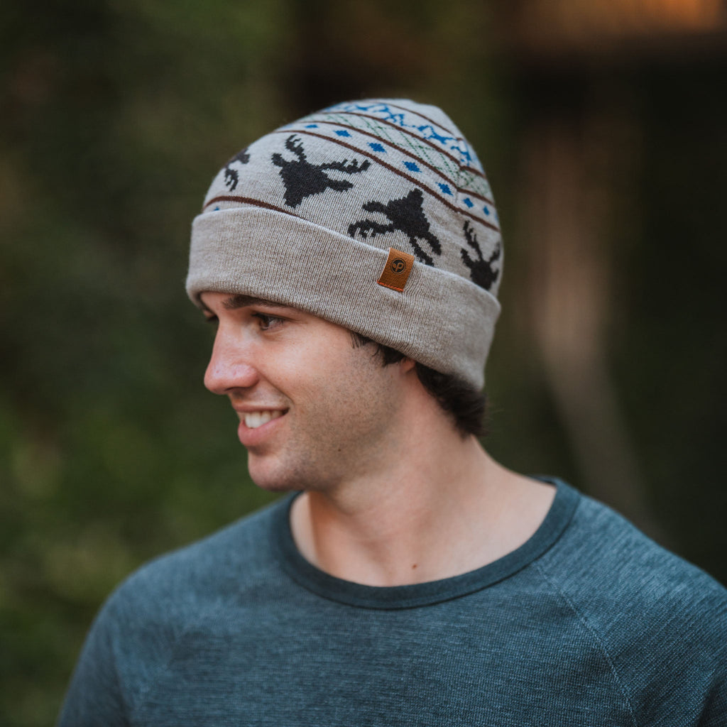 Willard Beanie | Pistil Designs