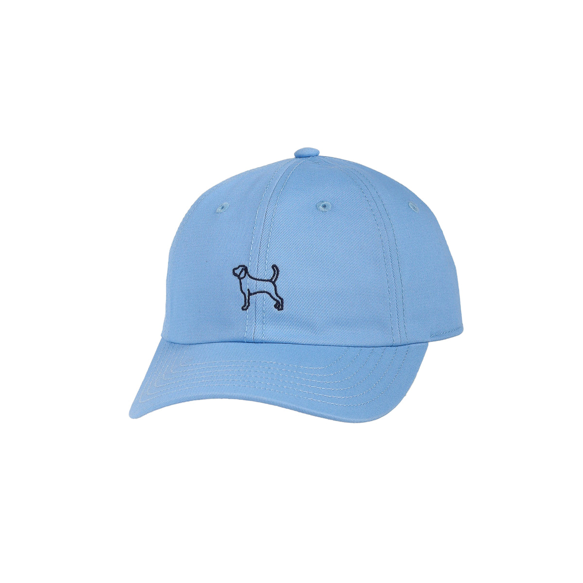 Kids' Dillon Cap Kids Caps Pistil Designs Blue