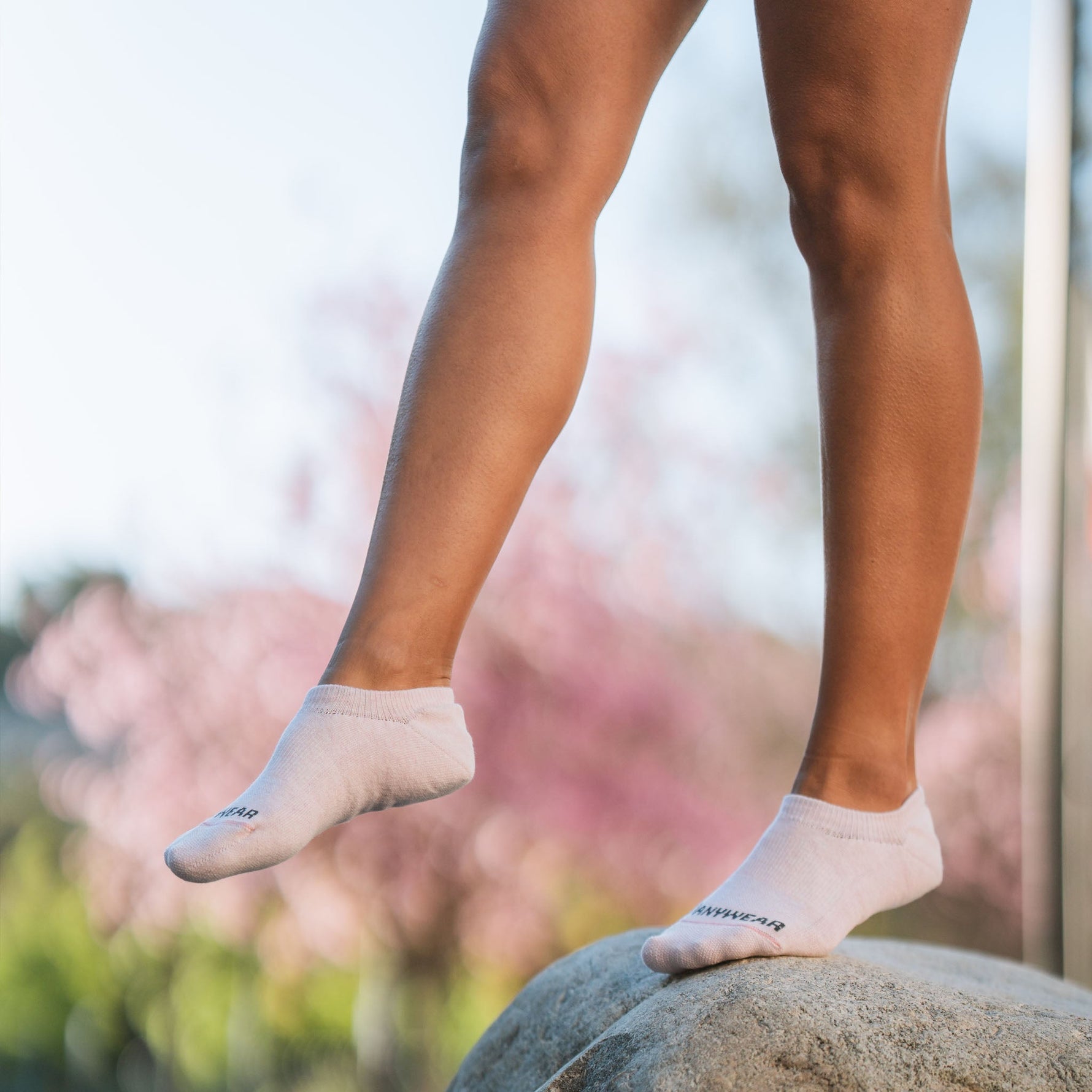 Anywear Essential Lightweight No Show Sock 2 Pack Anywear Pistil Designs