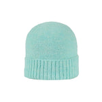 Kennedy Beanie Beanies Pistil Designs Mint