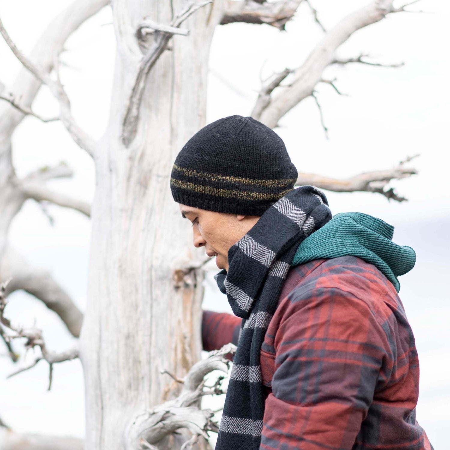 Elroy Beanie Beanies Pistil Designs